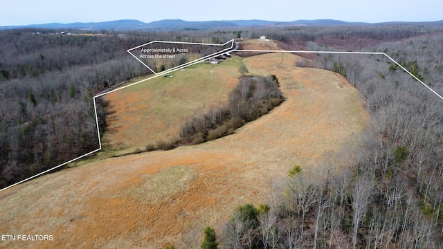 5446 Dogwood Rd, Grandview, TN 37337 - photo 2