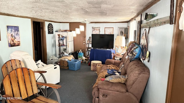 living room featuring carpet flooring and a textured ceiling