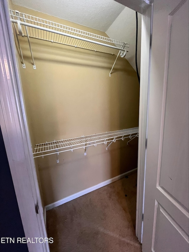 view of closet