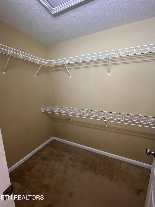 walk in closet with carpet flooring