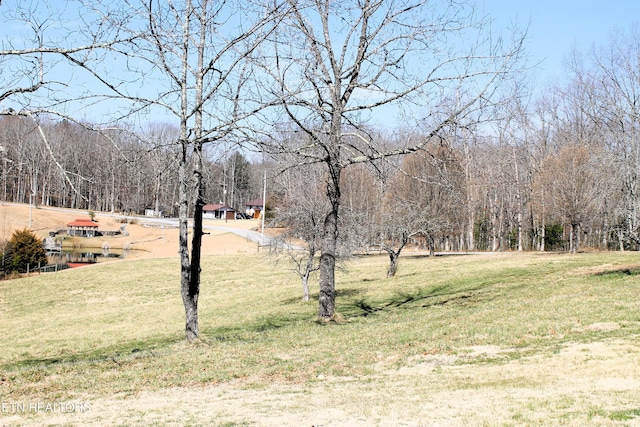 view of yard with a forest view