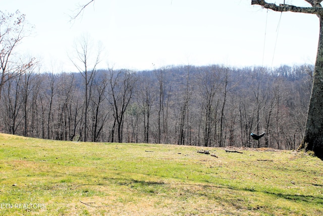 property view of mountains with a forest view