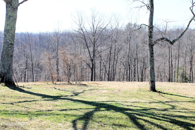 view of yard featuring a view of trees