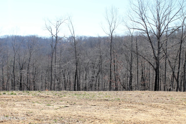 mountain view featuring a forest view