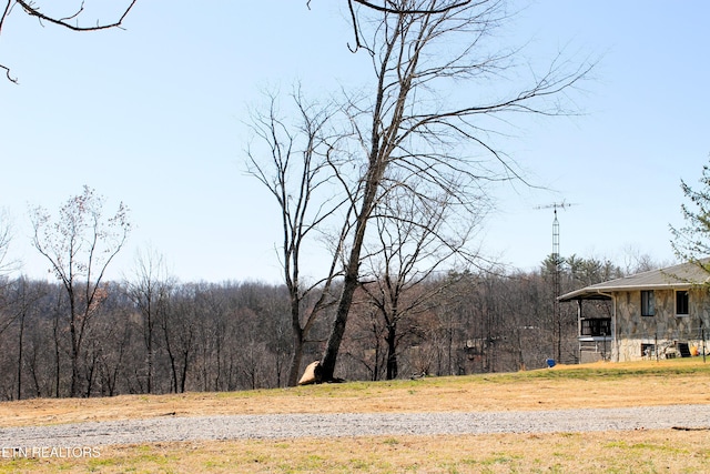 view of yard with a view of trees