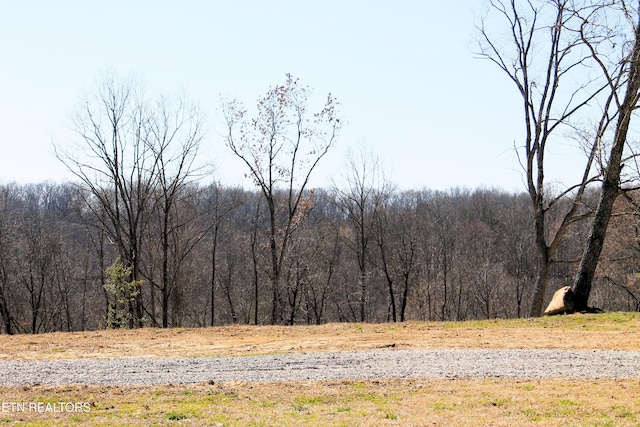 view of local wilderness featuring a view of trees