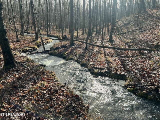 798 Christenson Rd, Deer Lodge, TN 37726 - view of yard