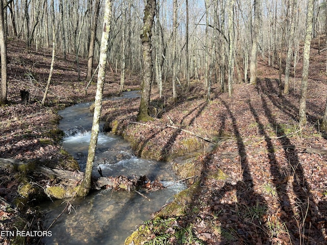 798 Christenson Rd, Deer Lodge, TN 37726 - view of landscape