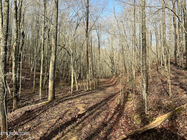 798 Christenson Rd, Deer Lodge, TN 37726 - view of nature with a forest view