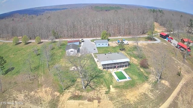 798 Christenson Rd, Deer Lodge, TN 37726 - drone / aerial view with a view of trees