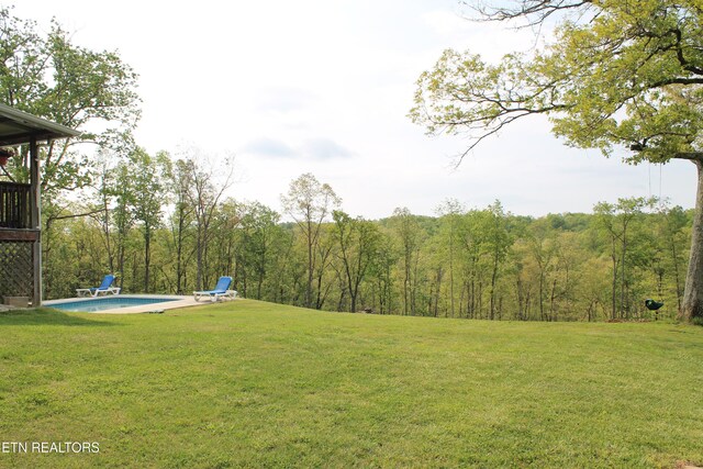 798 Christenson Rd, Deer Lodge, TN 37726 - view of yard with a view of trees and an outdoor pool
