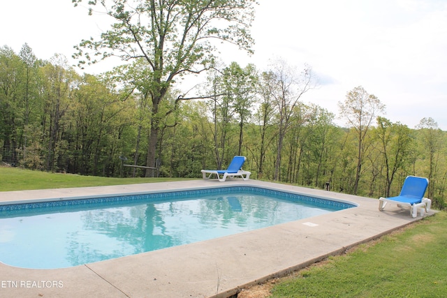 798 Christenson Rd, Deer Lodge, TN 37726 - pool featuring a view of trees and a yard