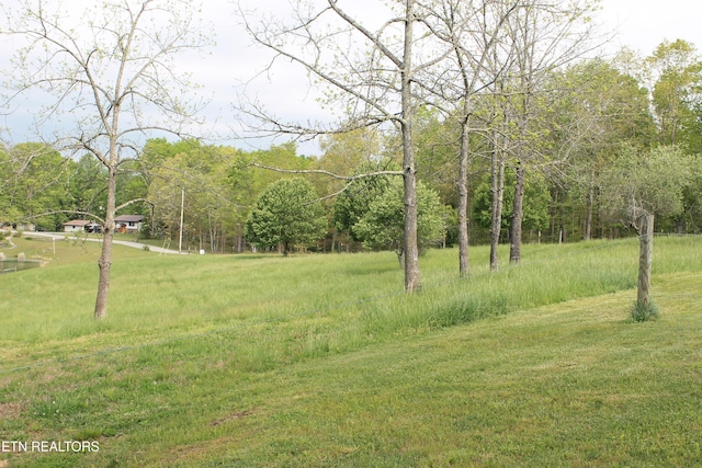 798 Christenson Rd, Deer Lodge, TN 37726 - view of yard featuring a wooded view