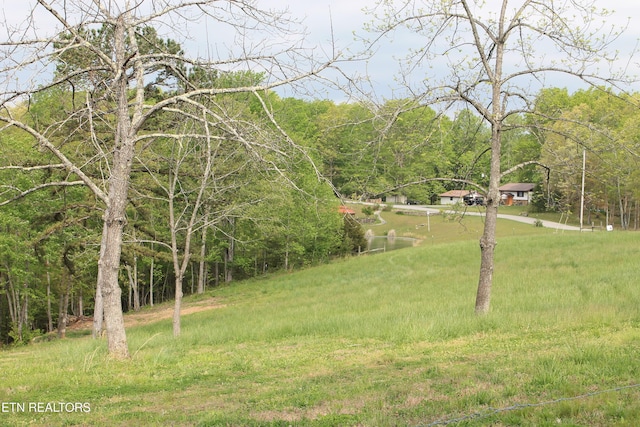 798 Christenson Rd, Deer Lodge, TN 37726 - view of yard with a view of trees