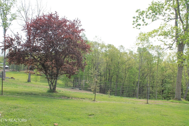 798 Christenson Rd, Deer Lodge, TN 37726 - view of yard with fence