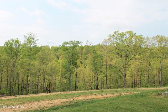 798 Christenson Rd, Deer Lodge, TN 37726 - view of local wilderness featuring a view of trees