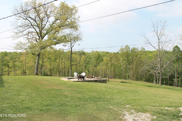 798 Christenson Rd, Deer Lodge, TN 37726 - view of yard with a wooded view