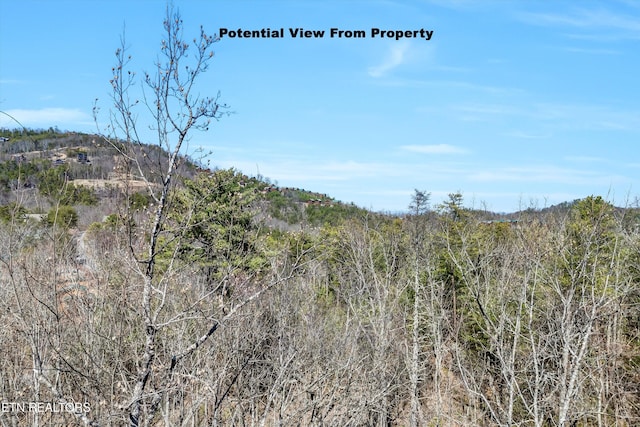 Listing photo 3 for LOT43E Harvest Moon Rd, Sevierville TN 37862