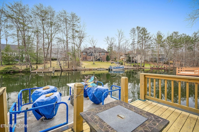 dock area with a water view