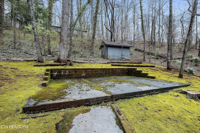 view of yard with a storage shed and an outdoor structure