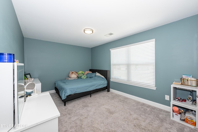 804 Spring Creek St, Maryville, TN 37801 - photo 23