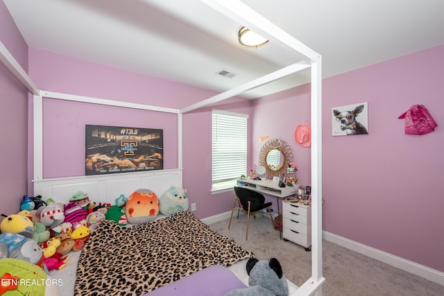 804 Spring Creek St, Maryville, TN 37801 - photo 26