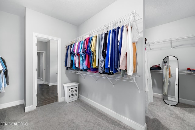 walk in closet featuring carpet