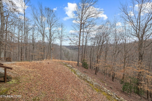 view of yard featuring a view of trees