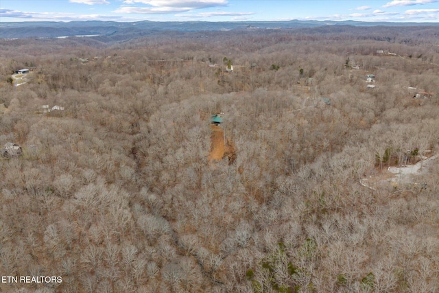 bird's eye view featuring a mountain view