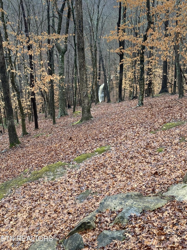 view of nature featuring a view of trees