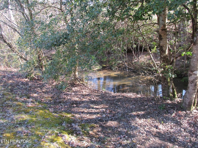 water view featuring a view of trees