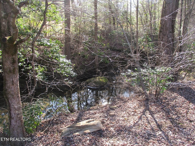 view of landscape with a wooded view