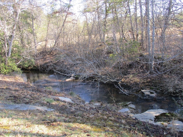 view of landscape featuring a forest view