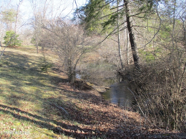 view of local wilderness featuring a view of trees