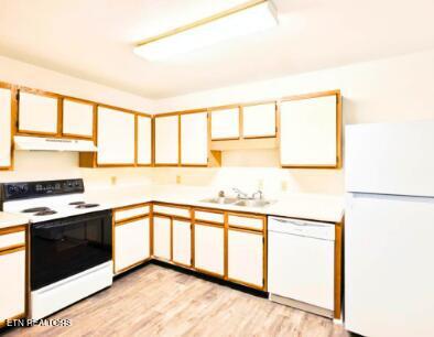 kitchen featuring under cabinet range hood, light countertops, light wood-type flooring, white appliances, and a sink