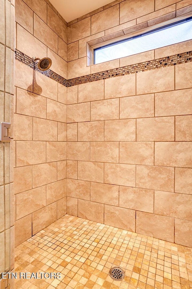 room details with a tile shower