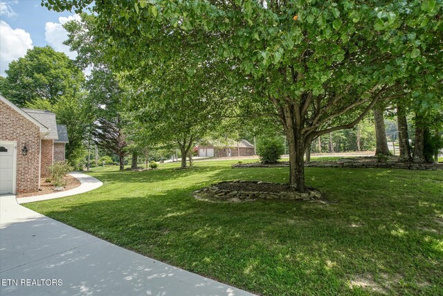 126 Markham Ln, Crossville, TN 38558 - photo 8