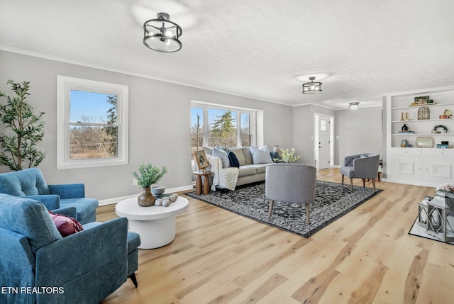 living area featuring a textured ceiling, wood finished floors, and ornamental molding