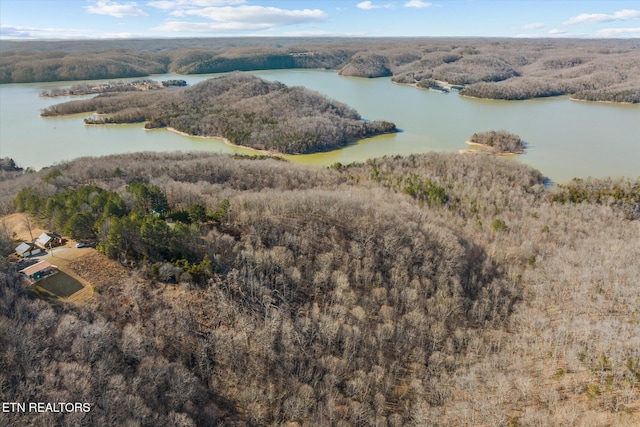 aerial view featuring a forest view and a water view