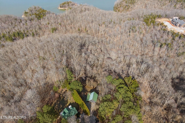 bird's eye view with a wooded view