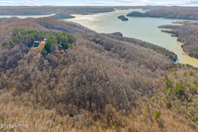 birds eye view of property with a water view and a view of trees