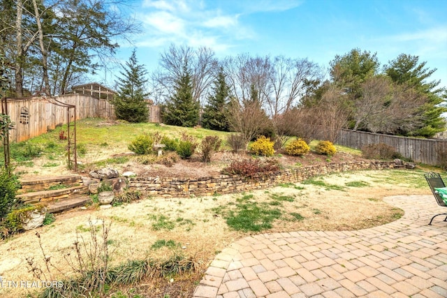 view of yard featuring a patio area and a fenced backyard