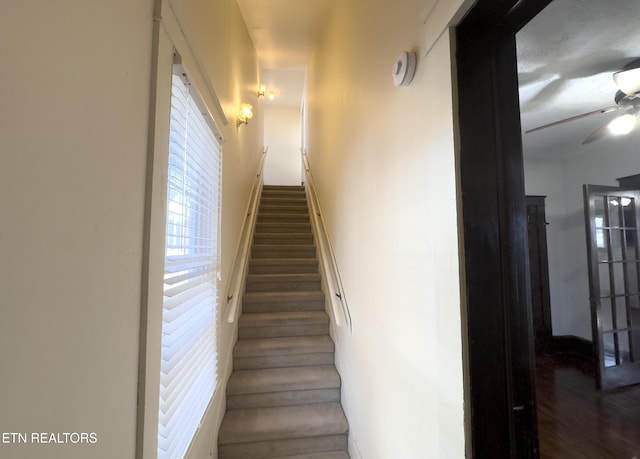 staircase featuring wood finished floors and ceiling fan