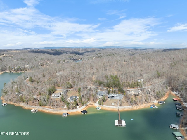 Listing photo 3 for Cove Pointe Rd, Lafollette TN 37766