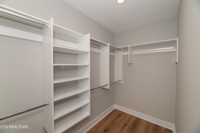 spacious closet featuring dark wood-style floors