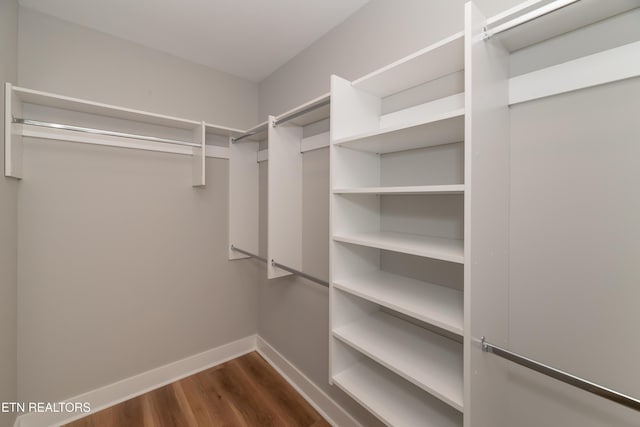 walk in closet with dark wood-style floors