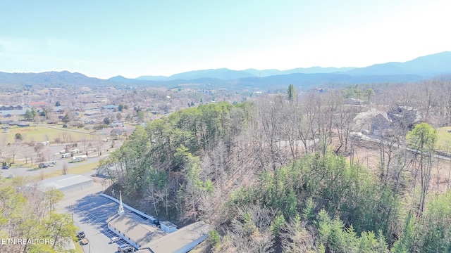 property view of mountains with a view of trees