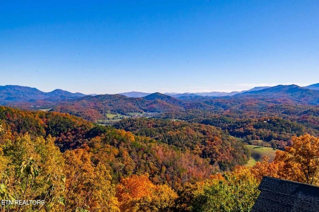 property view of mountains with a wooded view