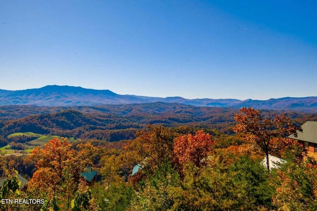 property view of mountains featuring a wooded view