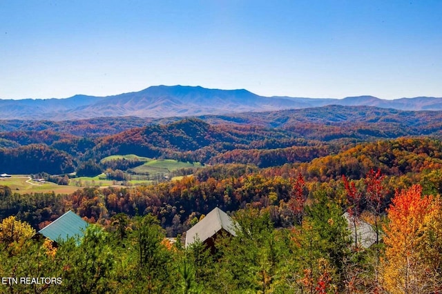 view of mountain feature with a view of trees